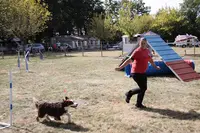 Club Canin Cani Sport du Ségala Baraqueville