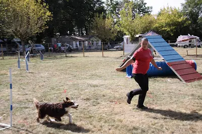 Club Canin Cani Sport du Ségala Baraqueville