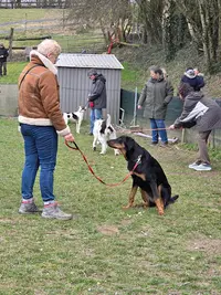 Club Canin de Vors Aveyron