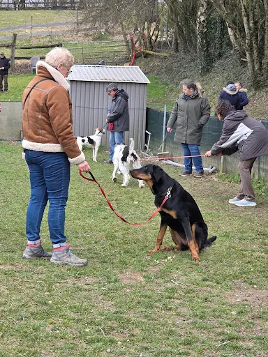 Club Canin de Vors Aveyron