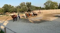 Centre Equestre de Barbentane