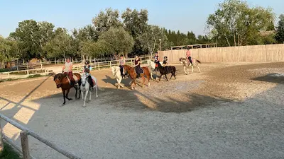 Centre Equestre de Barbentane