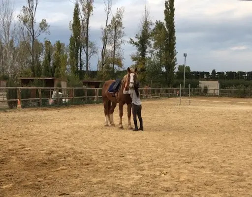Les Écuries du Cheval d'Argent