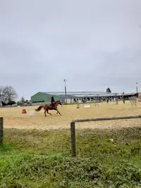 Centre Equestre du Barbezilien