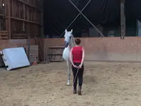 A Cheval sur Soi