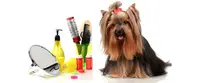 Tootsie Salon de Toilettage Canin