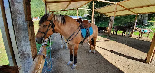 Ferme Équestre le Lienz