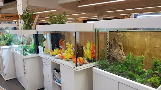 Jardiland