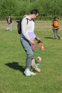 Maestro - Education Comportementaliste Canin & Pension Familiale