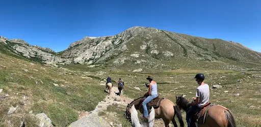 Ferme Équestre le Ranch Bastelica