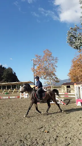 Centre Équestre de Bastelicaccia - Centru Equestru Di Bastilicaccia