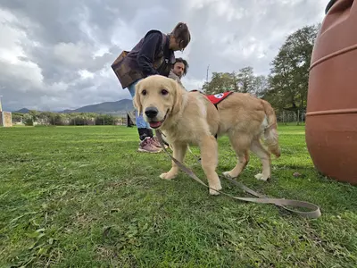 Déclic Canin