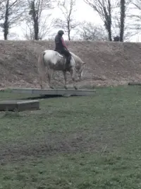 Easy Horse, Équitation Éthologique