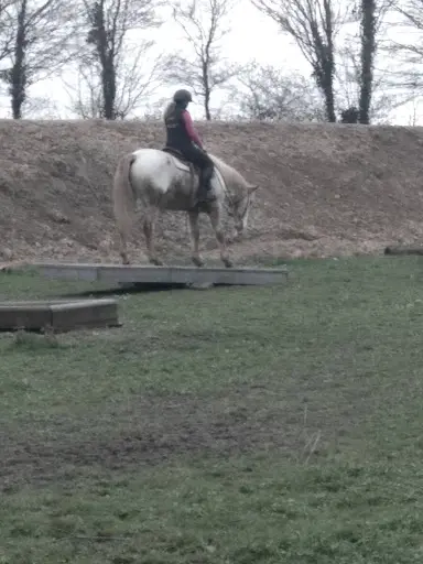 Easy Horse, Équitation Éthologique