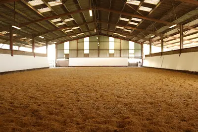 Aux Prés d'Edenton - Pension Chevaux Proche Bordeaux À Baurech