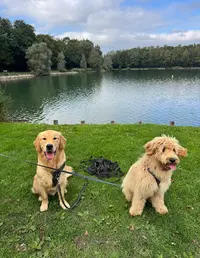 Ma Bonne Patte (éducatrice Comportementaliste Canin & Pet-sitter)