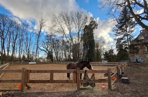 Equi Om