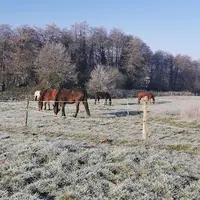 Centre Équestre du Lycée Agricole de Bazas