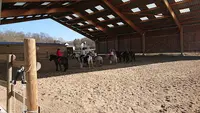 Haras de Pharos