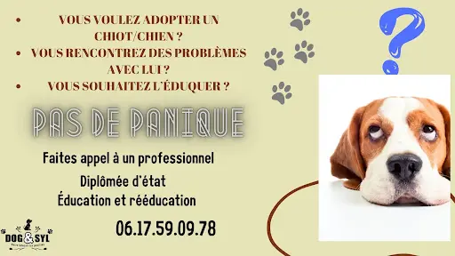 Dog & Syl - Educatrice Comportementaliste Canin