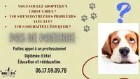 Dog & Syl - Educatrice Comportementaliste Canin