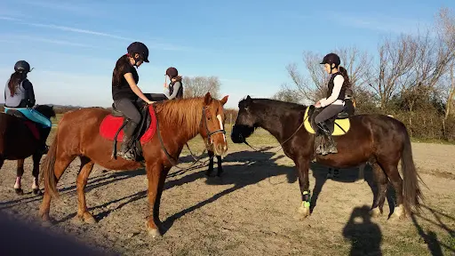 Ecole d'Equitation du Bélice