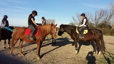 Ecole d'Equitation du Bélice