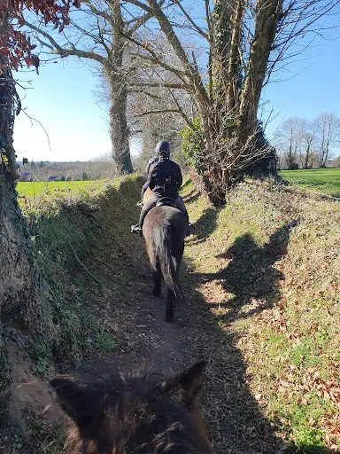 Écurie des Coucous