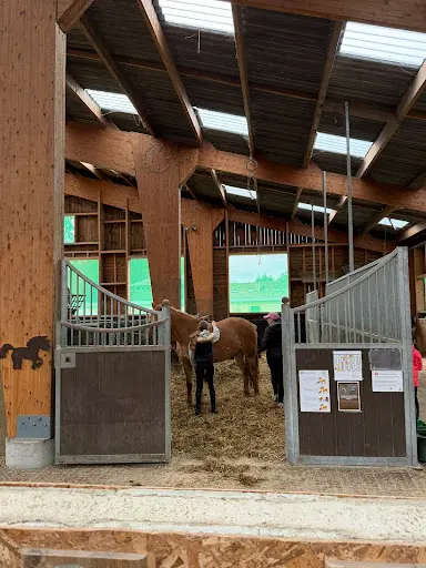 Lieudieu - Séjours Équestres en Pension Complète - 3h d'Équitation Par Jour - 6 À 19ans