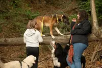 Apprivoise Ton Chien - Educatrice Canin & Pet Sitting