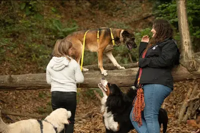 Apprivoise Ton Chien - Educatrice Canin & Pet Sitting