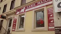 Canis Major