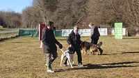 Club Canin Dampierre les Bois