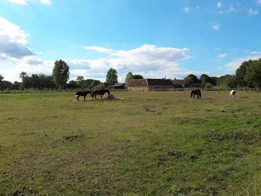 Le Plessis Beaufay
