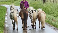 Plessis Equipassion