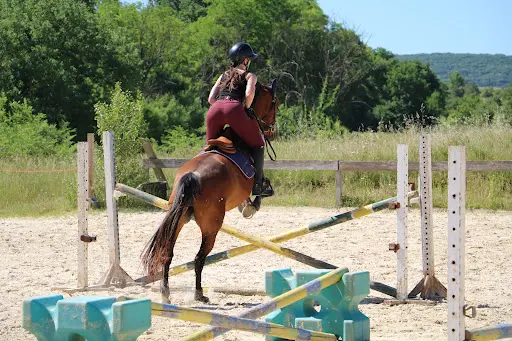 Centre Équestre Poney Club de Bonnemontesse