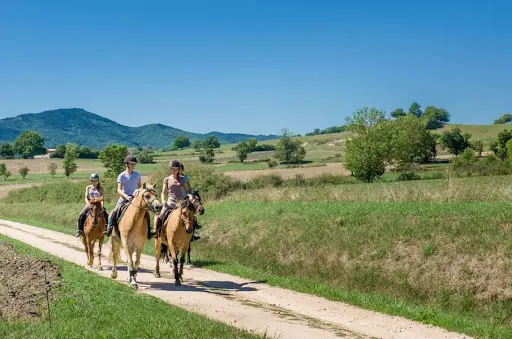 Centre Equestre