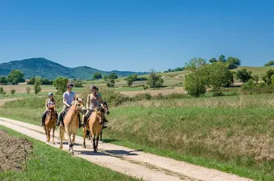 Centre Equestre