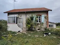 Happy Animaux