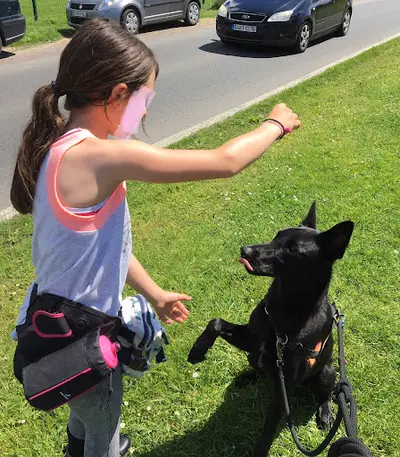 Éducatrice Canin - Sylvaine, Un Chien Peut en Cacher Un Autre