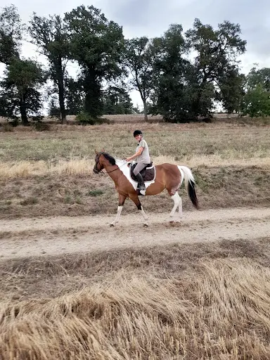 Les Écuries de la Riderie