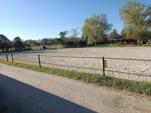 Salles Sud Equitation