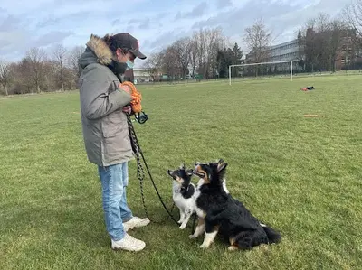 Rémi Coeugnet Éducateur Canin Comportementaliste