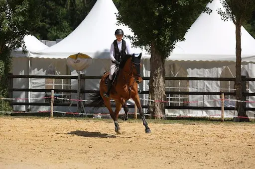 Ecurie Casa Nostra Loisirs - Ecole d'Équitation