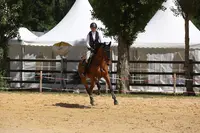 Ecurie Casa Nostra Loisirs - Ecole d'Équitation