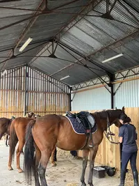 Centre Équestre Poney Club de la Rivière - Ecuries d'Elma