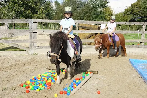 Poney Club Pirouette