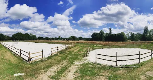Forev Jump
