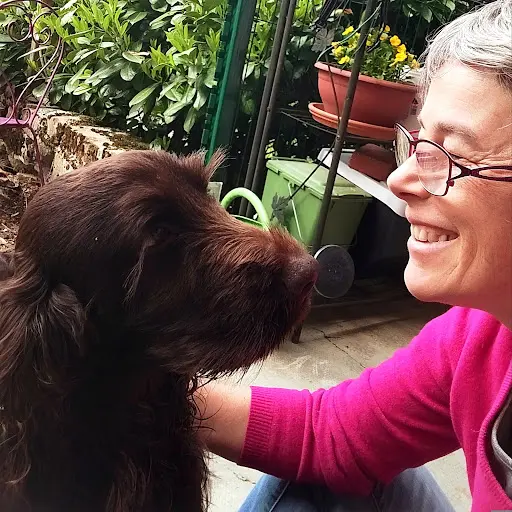 Un Pas, Une Patte - Éducation Canine
