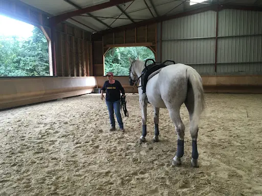 Poney Club de Barny